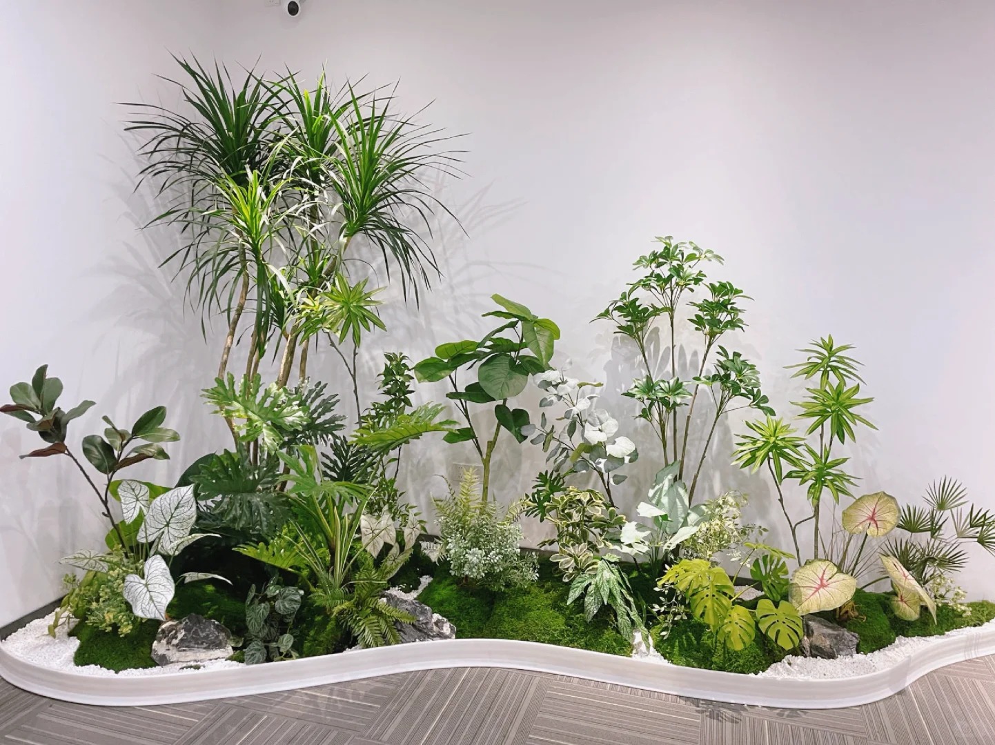 专业花卉出租,宁波鄞州花卉租赁的不二之选